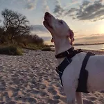 Nahe Der Ostsee Bei Luebeck