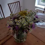 Nahe Der Ostsee Bei Luebeck Apartamento Lauen
