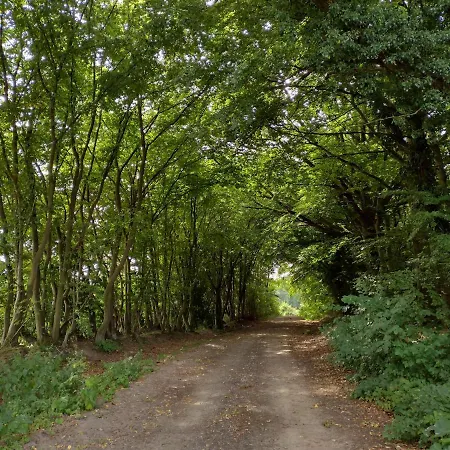 Nahe Der Ostsee Bei Luebeck Lauen