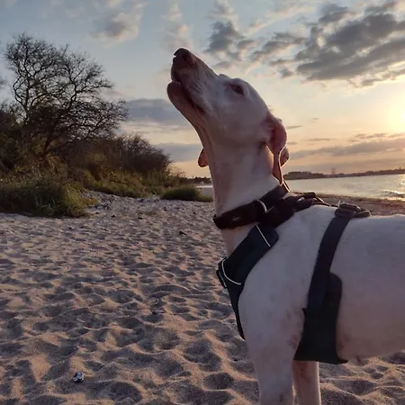 Nahe Der Ostsee Bei Luebeck