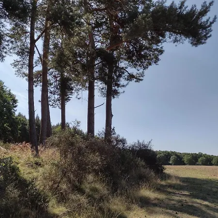 Apartmán Nahe Der Ostsee Bei Luebeck *