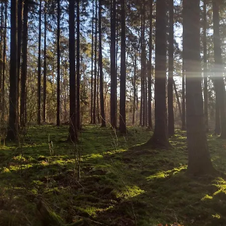 Nahe Der Ostsee Bei Luebeck Apartmán Lauen