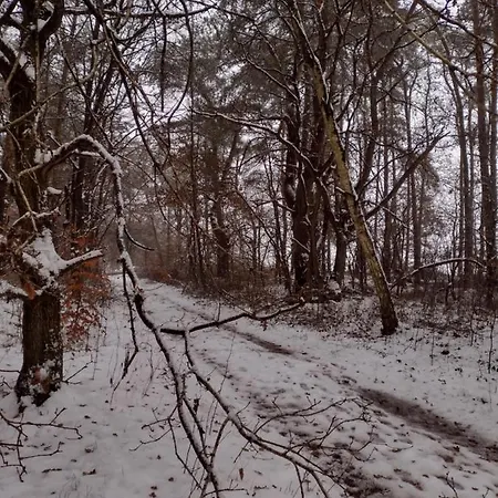 Nahe Der Ostsee Bei Luebeck Apartmán Lauen