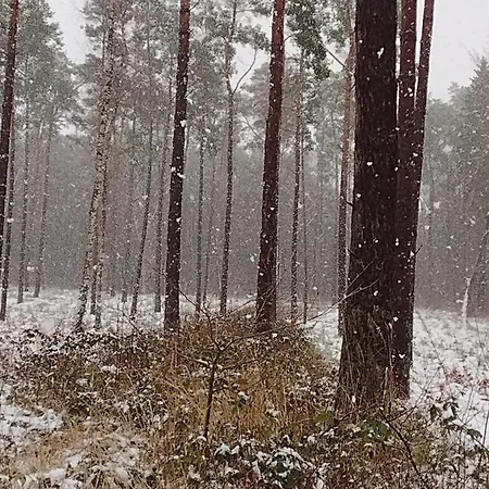 Nahe Der Ostsee Bei Luebeck Apartmán Lauen
