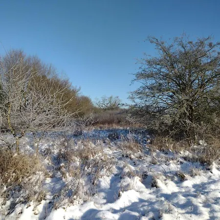 Nahe Der Ostsee Bei Luebeck Apartmán Lauen