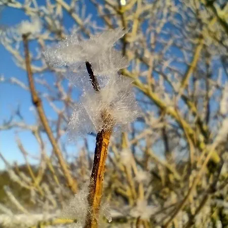 Apartmán Nahe Der Ostsee Bei Luebeck Lauen