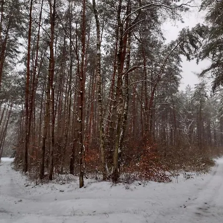 Nahe Der Ostsee Bei Luebeck Apartmán