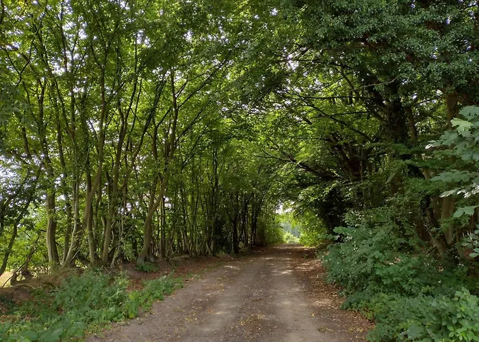Nahe Der Ostsee Bei Lübeck Lauen