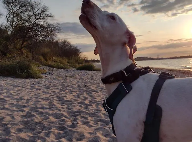 Nahe Der Ostsee Bei Lübeck