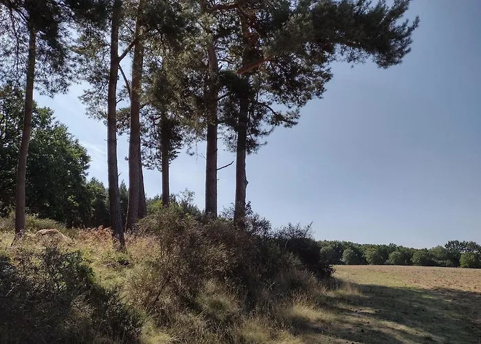 Apartamento Nahe Der Ostsee Bei Lübeck *