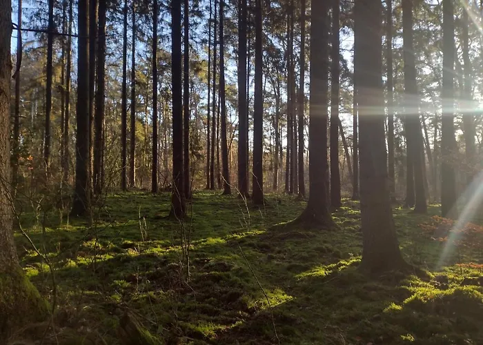 Nahe Der Ostsee Bei Lübeck Apartamento Lauen