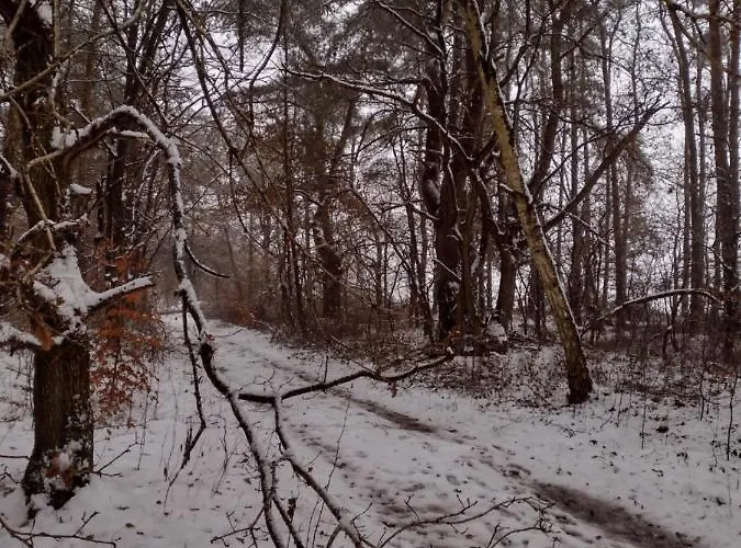 Nahe Der Ostsee Bei Lübeck Apartamento Lauen