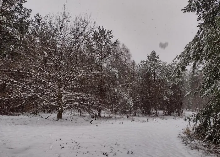 Nahe Der Ostsee Bei Lübeck Apartamento