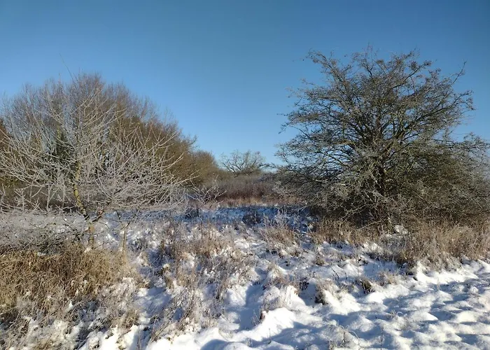 Nahe Der Ostsee Bei Lübeck Apartamento Lauen