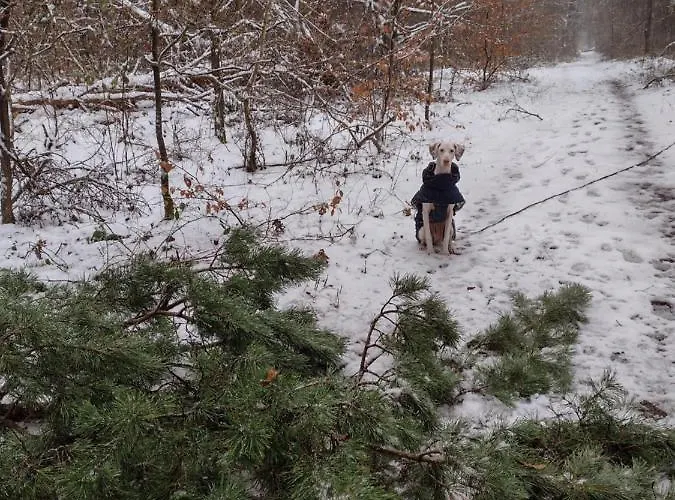 Nahe Der Ostsee Bei Lübeck Apartamento *