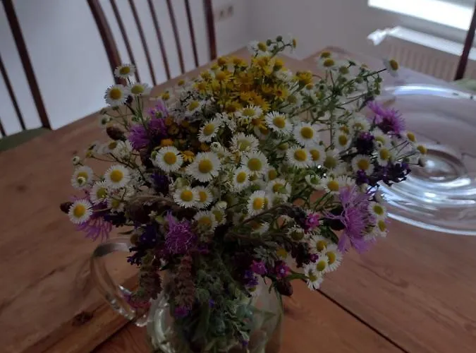 Nahe Der Ostsee Bei Lübeck Apartamento Lauen