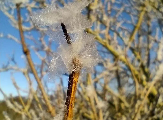 Apartamento Nahe Der Ostsee Bei Lübeck Lauen